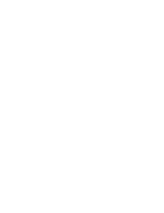 logo transparent prudnik